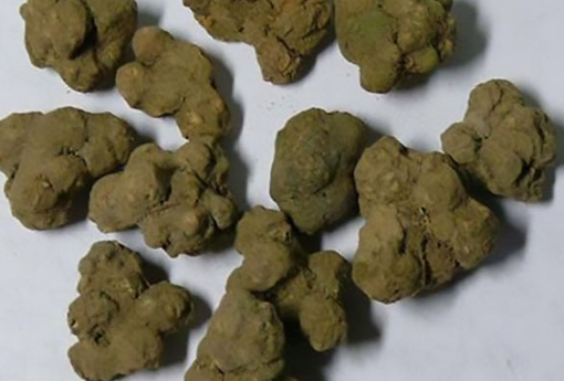 文仲大麻子酒方脚气