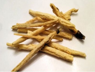 慈姑花的功效与作用