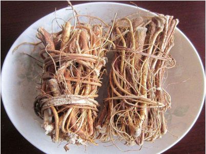 巾子峰头乌桕树微霜未落已先红