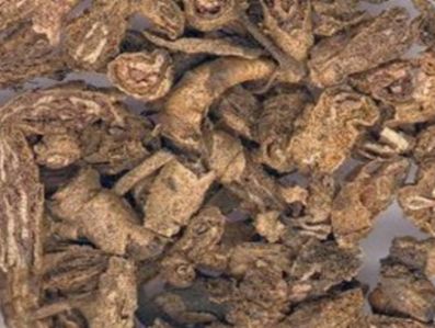 刮痧的疗法和效果以及刮痧的副作用及不良反