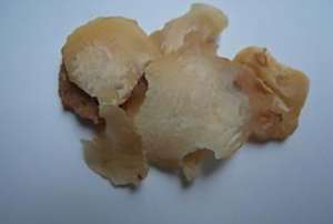 海马的功效与作用