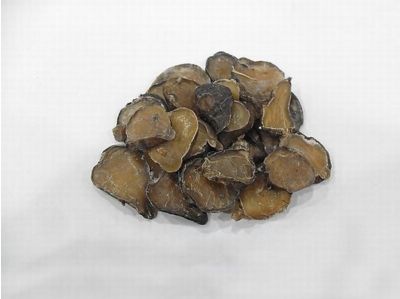菜豆树的功效与作用