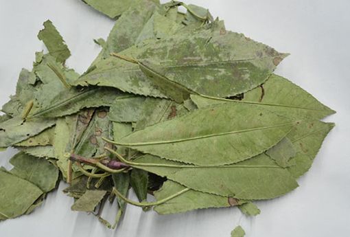 小暑怎样养生专家推荐7种健康食物